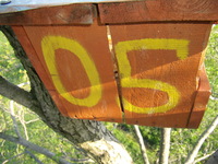 19.05.2007r.-budka_dla_pustu_ki_nr1_05_.