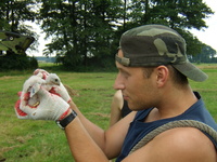 16.07.2009r-obr_czkowanie_pustu_ek_z_budki_nr1_05_