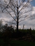 01.05.2008r.-budka_dla_pustu_ki_nr6_06_