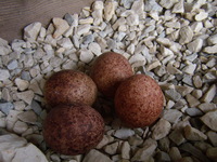 01.05.2008r.-leg_pustu_ki_w_budce_nr6_06_.