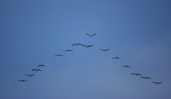 Img_0666_15