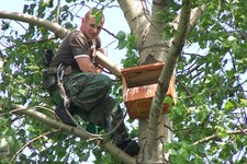 22.06.2006r.-_kontrola_budki_nr_8_08_