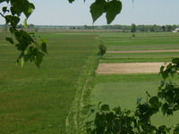 19.05.2007r.-widok_z_budki_nr8_08_