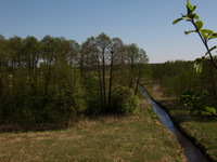 01.05.2009r.-_widok_z_budki_nr10_10__na_gniazdo_myszo_owa.