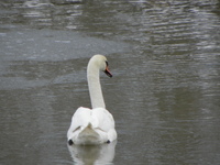 P3160184