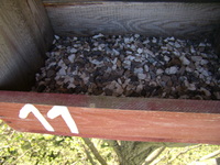 01.05.2009r.-wnetrze_budki_nr_11_11_