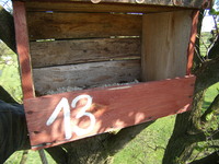 0105.2009r.-budka_dla_pustulki_nr13_13_