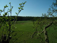 01.05.2009r.-widok_z_budki_nr13_13_