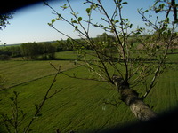 01.05.2009r.-_widok_z_budki_n16_16_