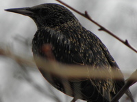 P3190046