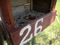 01.05.2009r.-_leg_w_budce_nr20_26_