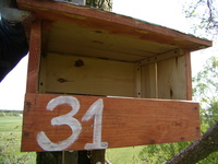 01.05.2009r.-_budka_dla_pustulki_nr23_31_
