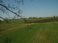 02.05.2009r.-_widok_z_budki_nr28_28_