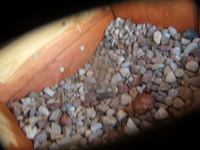 P4300159