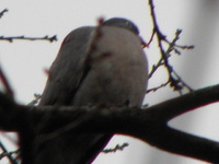 P3230134