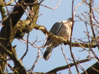P3240220