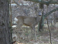 P3240346