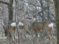 P3240352