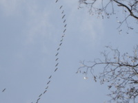 P3240349