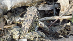 P3240292