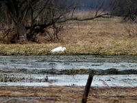 P1260305
