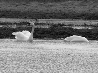 P1260417