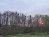P1000967