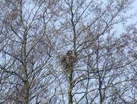 2010_0425wiosna1070115