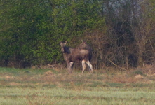 P1260732