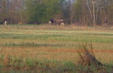 P1260714