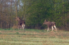 P1260736