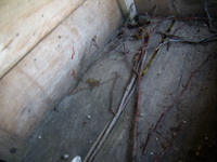 P4300255