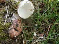 P4300202