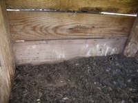 P4300322