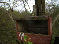 P4290110
