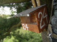 P4290041
