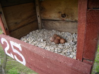 P4290033
