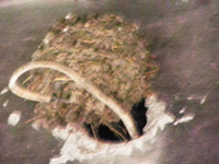 Bemowo-28-04-2010_055