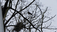 Bemowo-28-04-2010_023