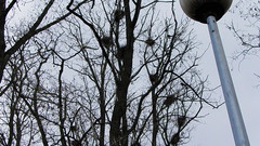 Bemowo-28-04-2010_025