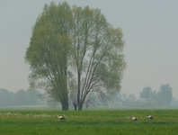 P1270600