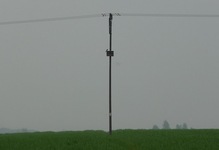 P1270604