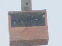 P1270643