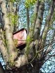 Dsc01291