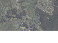 Czajki
