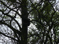 P1270880