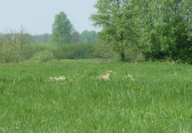 P1270873