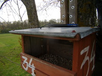P4290004