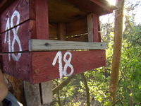 P5010068