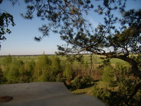 P5010069
